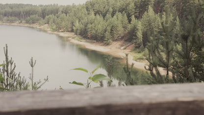 Serene forest-lake view with lush pine trees and calm waters.